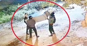 Kamareddy Theft Case: దొంగతనంలోనూ ఫాస్ట్ ట్రాక్.. తాళంతో కుస్తీ వద్దు.. బీరువానే ముద్దు అనుకున్న వింత దొంగలు!