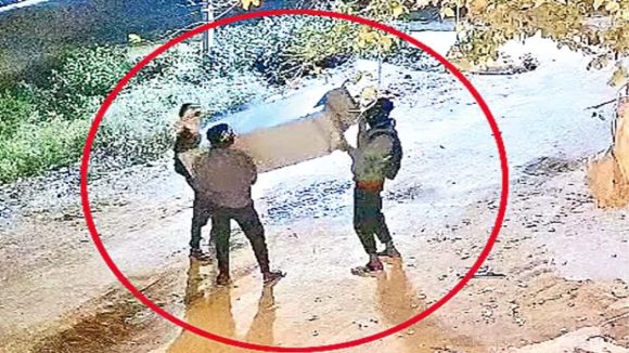 Kamareddy Theft Case: దొంగతనంలోనూ ఫాస్ట్ ట్రాక్.. తాళంతో కుస్తీ వద్దు.. బీరువానే ముద్దు అనుకున్న వింత దొంగలు!