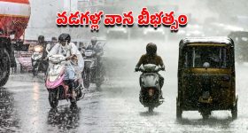 Rajahmundry Adulterated Milk Case: రాజమండ్రి కల్తీ పాల కేసు.. డేంజర్ కెమికల్స్ వినియోగం
