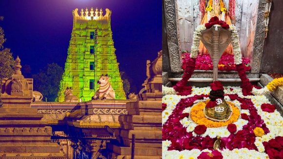 Maha Shivaratri: శ్రీశైలం వెళ్లే భక్తులకు గుడ్ న్యూస్.. ఏంటంటే?