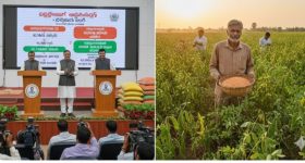 Andhra Pradesh: కేంద్రం భారీ కేటాయింపులు.. పప్పుధాన్యాల మిషన్‌తో మారనున్న ఏపీ వ్యవసాయ రూపురేఖలు!