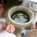Nagar Kurnool: నాగార్‌కర్నూల్‌లో ఘోరం.. నీటి తొట్టిలో 3 నెలల పసికందు అనుమానాస్పద మృతి..