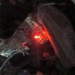 Bomb Blast In visakha: విశాఖలో బాంబు కలకలం.. చెత్తకుప్పలో లైట్లు వెలుతురు చూసి హంగామా, చివరికి..
