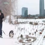Snowfall in USA: అమెరికాను వణికిస్తున్న మంచు తుపాను.. స్థంభించిన జనజీవనం