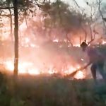 Fire in Nallamala: నల్లమల అడవిలో కొనసాగుతున్న మంటల ఉధృతి.. ఆందోళనలో వన్యప్రాణుల ప్రేమికులు