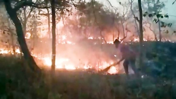 Fire in Nallamala: నల్లమల అడవిలో కొనసాగుతున్న మంటల ఉధృతి.. ఆందోళనలో వన్యప్రాణుల ప్రేమికులు