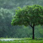 Rain alert: అల్పపీడనం ఎఫెక్ట్.. రాష్ట్రంలో భారీ వర్షాలు.. ఈ ఏడు జిల్లాలకు అలర్ట్ జారీ