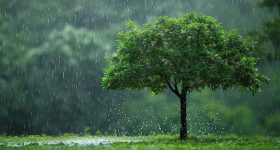 Rain alert: అల్పపీడనం ఎఫెక్ట్.. రాష్ట్రంలో భారీ వర్షాలు.. ఈ ఏడు జిల్లాలకు అలర్ట్ జారీ