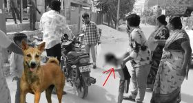 Stray Dogs Attack: సంగారెడ్డి జిల్లాలో మరోమారు రెచ్చిపోయిన వీధి కుక్కలు.. ఐదేళ్ల బాలుడిపై దారుణంగా..