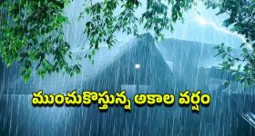TG Heavy Rainfall: రెయిన్ అలర్ట్.. తెలంగాణలో ఆ మూడు రోజులు భారీ వర్షాలు.. ఈ జిల్లాల ప్రజలు జాగ్రత్త!