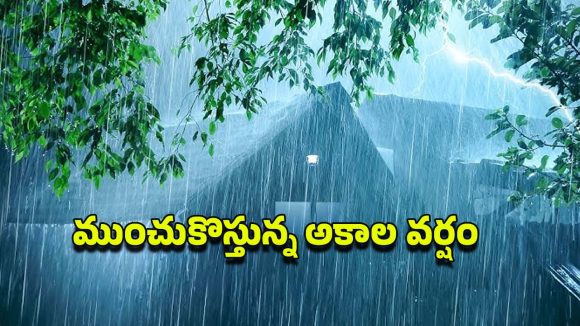 TG Heavy Rainfall: రెయిన్ అలర్ట్.. తెలంగాణలో ఆ మూడు రోజులు భారీ వర్షాలు.. ఈ జిల్లాల ప్రజలు జాగ్రత్త!