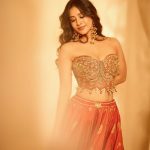 Nabha Natesh : అబ్బా.. చూస్తుంటేనే మతిపోతుంది.. ఎంత అందంగా ఉందో నభా..