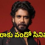 Nagarjuna 100: దసరా రేసులోకి మన్మథుడి వందో సినిమా.. కింగ్ కోసం రెడీ అవుతున్న హీరోయిన్లు..