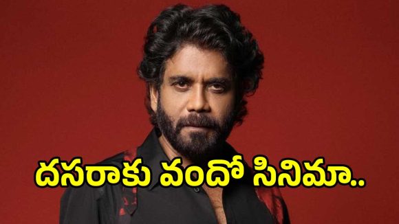 Nagarjuna 100: దసరా రేసులోకి మన్మథుడి వందో సినిమా.. కింగ్ కోసం రెడీ అవుతున్న హీరోయిన్లు..