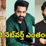 Nandamuri Networth: నందమూరి హరోల నెట్ వర్త్ ఎంతో తెలుసా.. టాప్‌లో ఉన్నది ఎవరంటే?