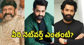 Nandamuri Networth: నందమూరి హరోల నెట్ వర్త్ ఎంతో తెలుసా.. టాప్‌లో ఉన్నది ఎవరంటే?