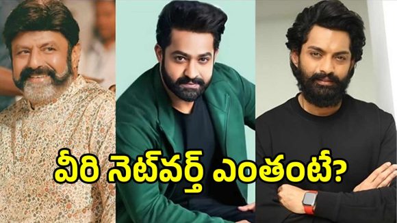 Nandamuri Networth: నందమూరి హరోల నెట్ వర్త్ ఎంతో తెలుసా.. టాప్‌లో ఉన్నది ఎవరంటే?
