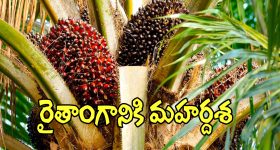 AP News: మాజీ ఎంపీ బుట్టా రేణుక దంపతుల ఆస్తులు వేలం.. అసలు ఏం జరిగింది?