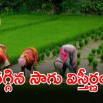 Satellite Crop Survey: రాష్ట్రంలో పంటల విస్తీర్ణం లెక్కింపు పూర్తి.. ఈసారి విస్తీర్ణం 8 నుంచి 12% తక్కువ నమోదు