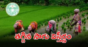 No More Budget Phones: అంతరించిపోతున్న బడ్జెట్ ఫోన్స్ ట్రెండ్.. స్మార్ట్‌ఫోన్స్ ధరలు సగటున రూ.37000