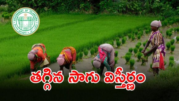 Satellite Crop Survey: రాష్ట్రంలో పంటల విస్తీర్ణం లెక్కింపు పూర్తి.. ఈసారి విస్తీర్ణం 8 నుంచి 12% తక్కువ నమోదు