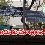 MPDO Promotions: ఏడాదిగా ప్రమోషన్స్ కోసం ప్రభుత్వానికి ఫైల్.. ఆశతో ఎదురుచూస్తున్న ఉద్యోగులు