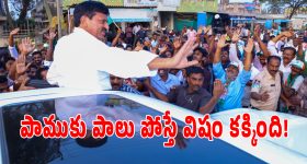 Ishan Kishan: ఇషాన్ కిష‌న్‌ విధ్వంసం.. ఒకే ఓవర్లో 6, 1, 6, 6, 4, 6, ఇక‌ సంజు శాంసన్ కెరీర్ క్లోజ్‌