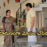 Podarillu Today Episode : మాధవ్ కు మాటిచ్చిన గాయత్రి.. మహాను రప్పించేందుకు లలిత ప్లాన్..చక్రికీ దిమ్మతిరిగే షాక్..
