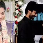 Punarnavi Bhupalam: పునర్నవికి కాబోయే భర్త బ్యాగ్రౌండ్ ఏంటో తెలుసా..? సౌండ్ పార్టీనే..