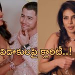 Priyanka Chopra: గ్లోబల్ స్టేటస్ వెనుక కన్నీటిగాథ.. భారతీయులు అలాంటి పాత్రలకే?