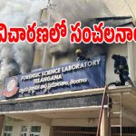 FSL Fire Accident: ఫోరెన్సిక్​ ల్యాబ్ ప్రమాదంపై విచారణ షురూ.. వెలుగులోకి కీలక విషయాలు..?