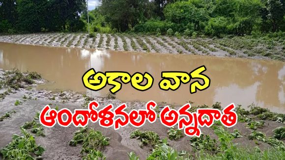 Mahabubnagar Rain: మహబూబ్ నగర్ జిల్లాలో అర్ధరాత్రి నుంచి దంచికొడుతున్న వర్షం