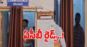International Fleet Review - 2026: విశాఖలో విశ్వ నౌకల వేడుక.. పాల్గొన్న రాష్ట్రపతి, సీఎం చంద్రబాబు.. 71 యుద్ధ నౌకలతో..