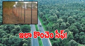 Karnataka Plane Crash: పొలాల్లో బోల్తా పడ్డ శిక్షణ విమానం.. తృటిలో తప్పిన పెను ప్రమాదం
