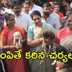 Minister Seethakka: వీది కుక్క‌ల‌ను చంపిన సర్పంచ్‌లపై క‌ఠిన చ‌ర్య‌లు: మంత్రి సీతక్క