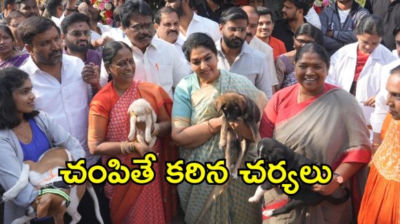 Minister Seethakka: వీది కుక్క‌ల‌ను చంపిన సర్పంచ్‌లపై క‌ఠిన చ‌ర్య‌లు: మంత్రి సీతక్క