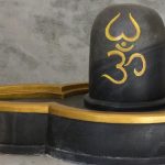 Maha shivarathri: శివరాత్రికి వీరు మాత్రం ఉపవాసం చేయకూడదు, ఎందుకో తెలుసా?