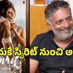 Prakash Raj: ఆ కారణంతోనే ‘స్పిరిట్’ మూవీ నుంచి ప్రకాష్ రాజ్‌ను తప్పించిన సందీప్ రెడ్డి వంగా..