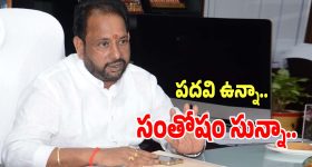 Visakhapatnam Mayor: టీడీపీ ప్రభుత్వంలో పదవి ఉన్నా సంతోషం సున్నా.. సీనియర్ నాయకత్వానికి దక్కని గౌరవం..!