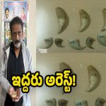 Hyderabad News: పులి గోర్లు, దంతాల అక్రమ వ్యాపారం..  ఏడు పులి గోర్లు, మూడు దంతాలు స్వాధీనం!