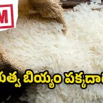 Rice Scam: ప్రభుత్వ బియ్యం నొక్కేస్తున్న వార్డెన్ .. రెడ్ హ్యాండెడ్‌గా పట్టుకున్న పోలీసులు!