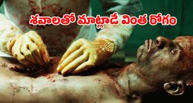 Horror Movie OTT : మార్చురీలో మతిపోగొట్టే పనులు... గుండెలదిరే సీన్స్... హర్రర్ మూవీ అంటే ఇలా ఉండాలి మావా