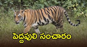 Fire Accident: భాగ్యనగరంలో భారీ అగ్నిప్రమాదం.. క్షణాల్లో కాలి బూడిదైన గర్ల్స్ హాస్టల్.. సీసీటీవీ ఫుటేజ్