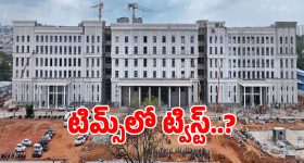 Head Lice Infestation: తలలో పేలు.. మనుషులను చంపేస్తాయా? ఆ బాలిక మరణానికి కారణం పేలేనా?