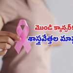 Breast Cancer: క్యాన్సర్ కణాలకు మరణశాసనం.. కొత్త యాంటీబాడీతో ప్రాణాంతక వ్యాధికి అడ్డుకట్ట!
