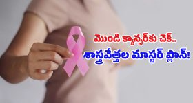 Breast Cancer: క్యాన్సర్ కణాలకు మరణశాసనం.. కొత్త యాంటీబాడీతో ప్రాణాంతక వ్యాధికి అడ్డుకట్ట!