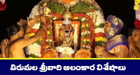 Sree Vishnu: ‘మృత్యుంజయ్’, ‘విష్ణు విన్యాసం’ రిలీజ్‌లో స్మాల్ ఛేంజ్!.. అది ఏంటంటే?