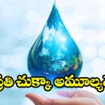 World Water Day 2026: అలర్ట్ అవ్వకపోతే అల్లాడిపోవాల్సిందే ! ఇప్పుడే మేల్కొందాం..