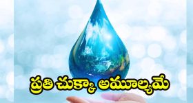 World Water Day 2026: అలర్ట్ అవ్వకపోతే అల్లాడిపోవాల్సిందే ! ఇప్పుడే మేల్కొందాం..
