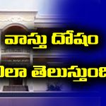 Vastu defect: మీ ఇంట్లో వాస్తు దోషం ఉందని ఇలా తెలుసుకోండి
